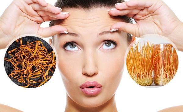 5 Tác dụng vượt trội của Đông Trùng Hạ Thảo